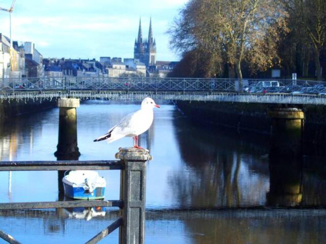 Sweet Home En Plein Coeur De Quimper Ngoại thất bức ảnh